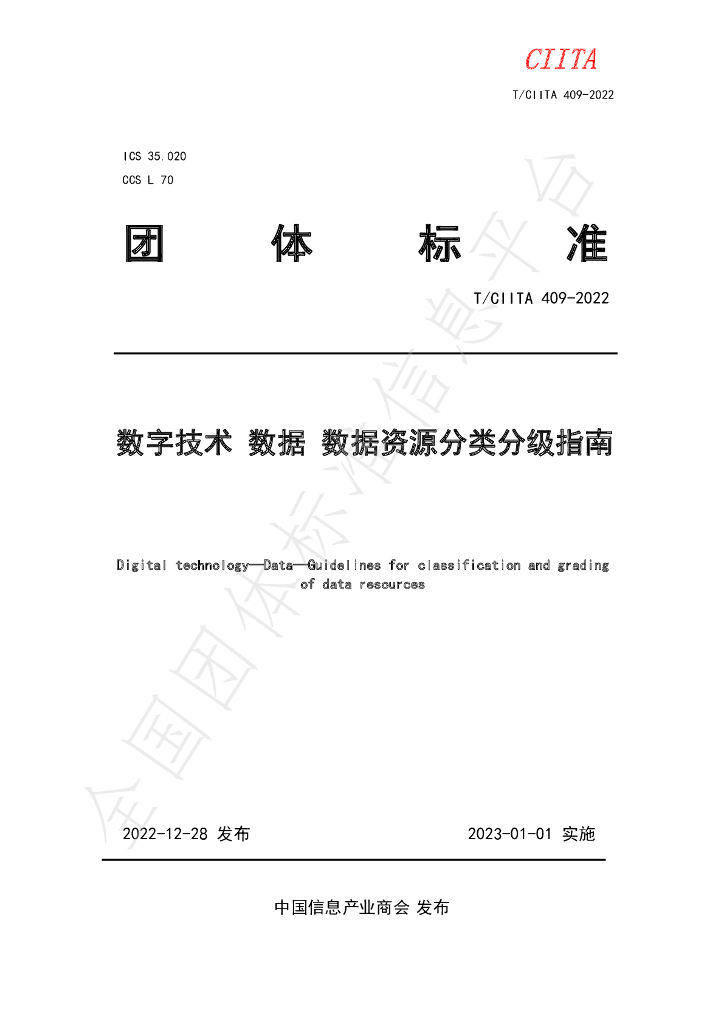 T/CIITA 409-2022 标准预览
