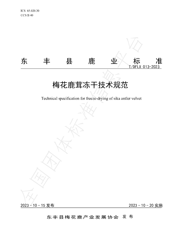 T/DFLX 013-2023 标准预览
