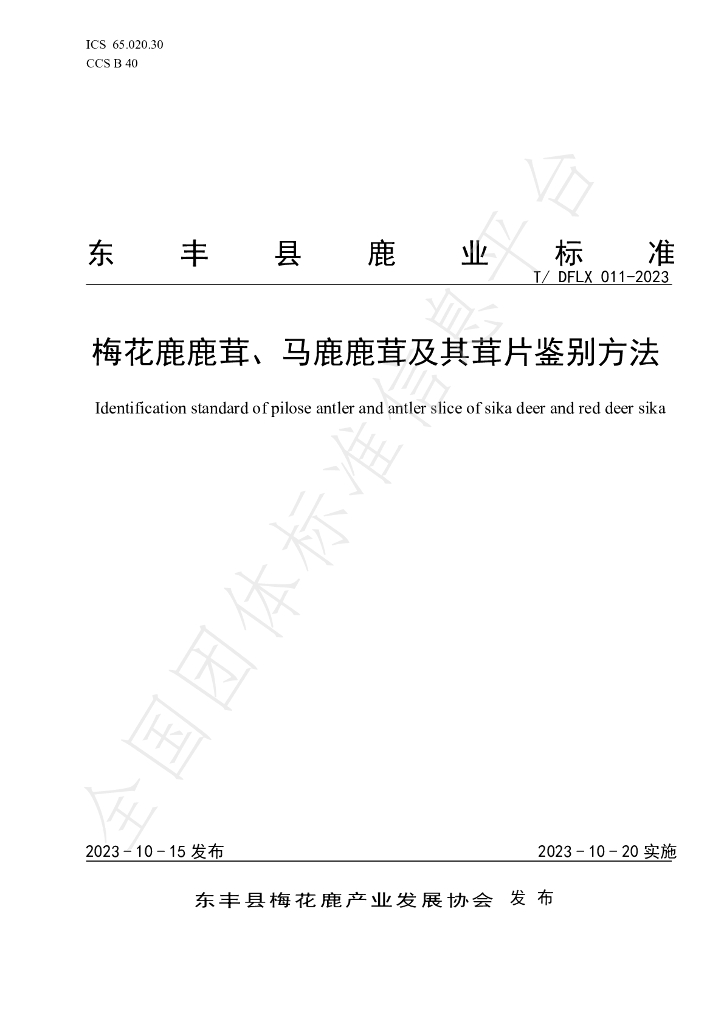 T/DFLX 011-2023 标准预览