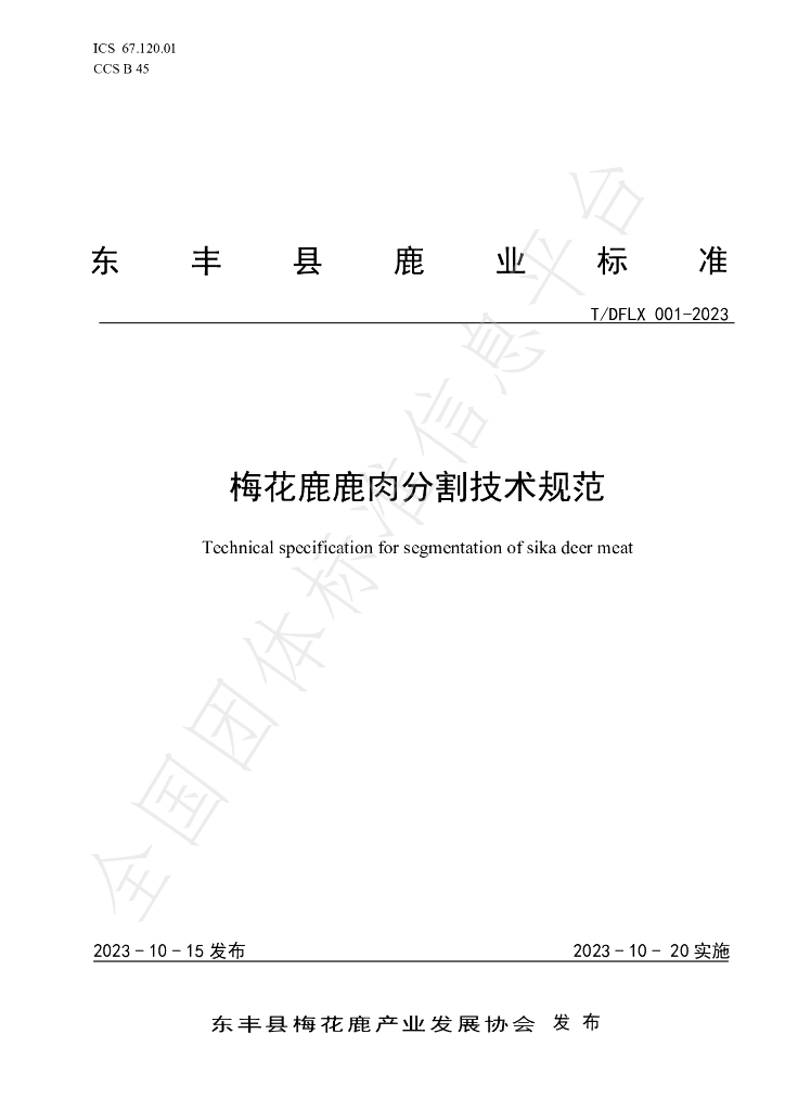 T/DFLX 001-2023 标准预览