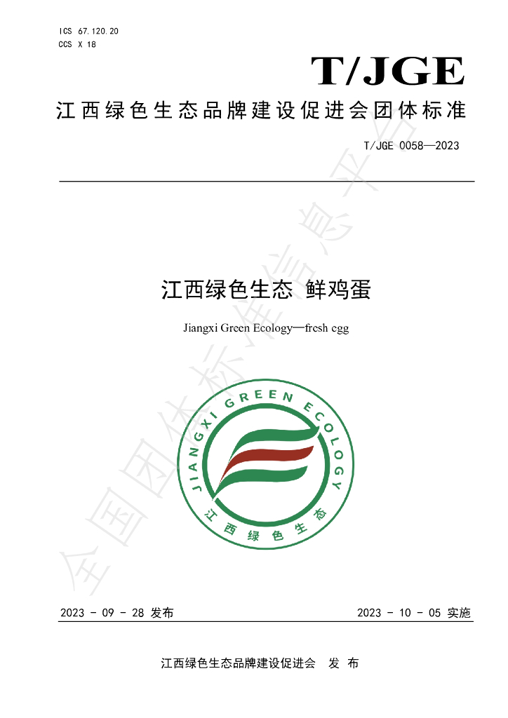 T/JGE 0058-2023 标准预览