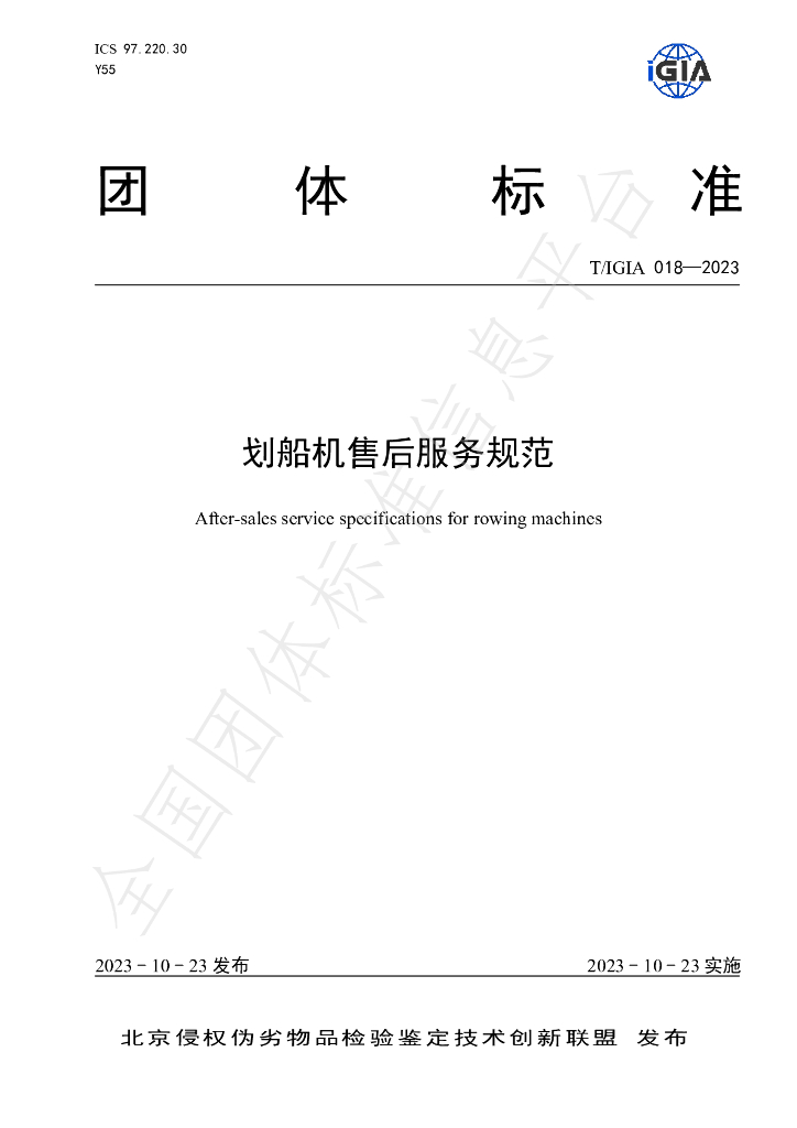 T/IGIA 018-2023 标准预览