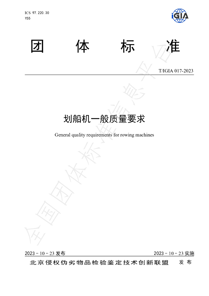 T/IGIA 017-2023 标准预览