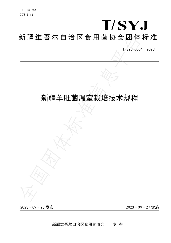 T/SYJ 0004-2023 标准预览