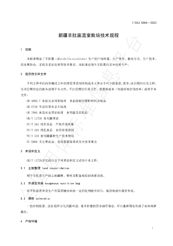 T/SYJ 0004-2023 标准预览