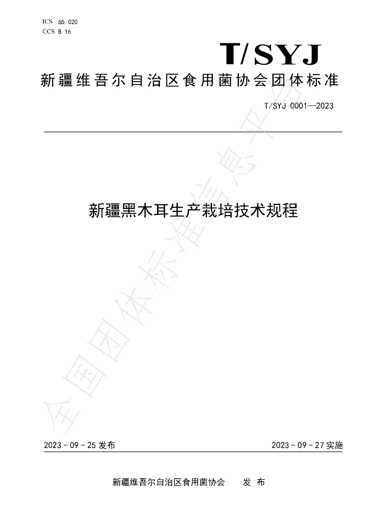 T/SYJ 0001-2023 标准预览