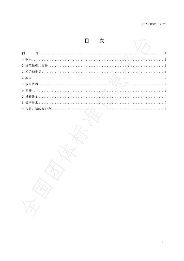 T/SYJ 0001-2023 标准预览