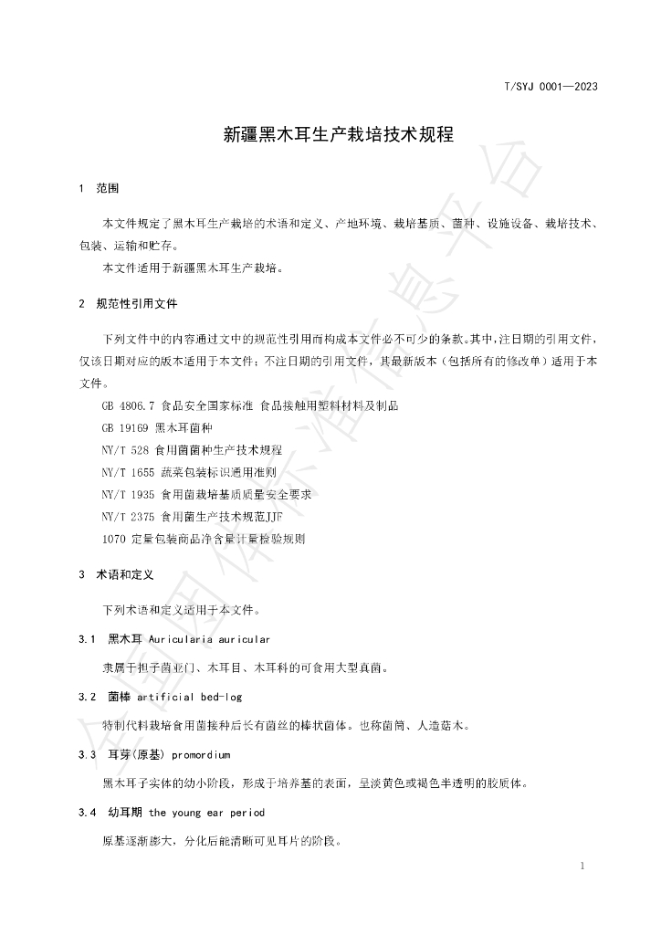 T/SYJ 0001-2023 标准预览