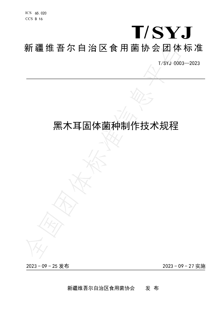 T/SYJ 0003-2023 标准预览