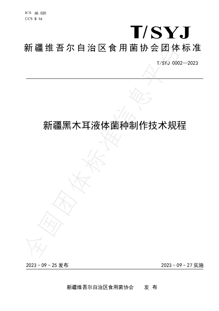 T/SYJ 0002-2023 标准预览