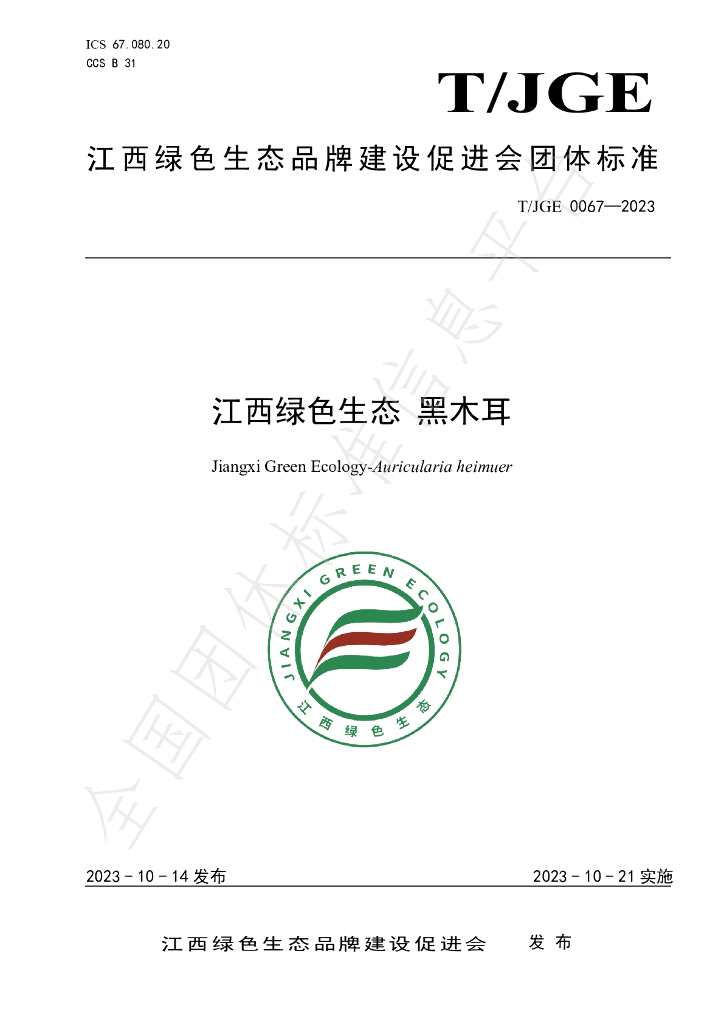 T/JGE 0067-2023 标准预览