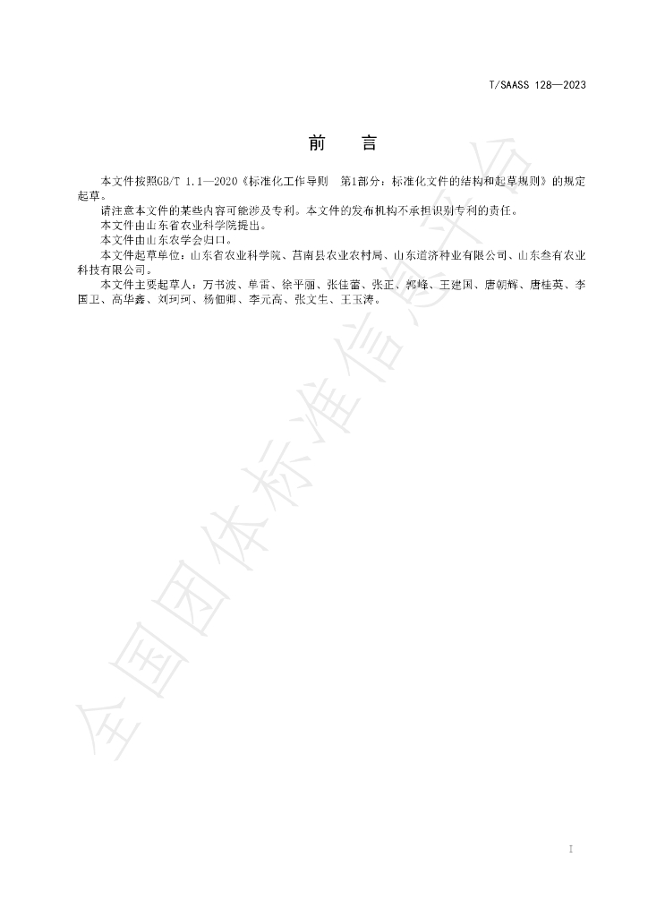 T/SAASS 128-2023 标准预览