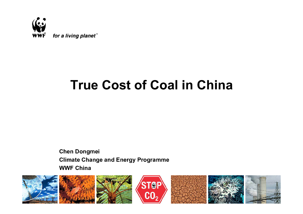 世界自然基金会：中国煤炭真实成本（英文版）