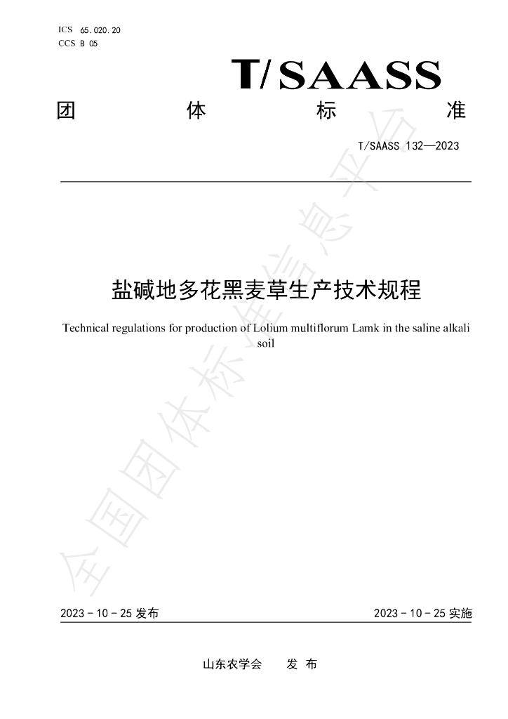 T/SAASS 132-2023 标准预览