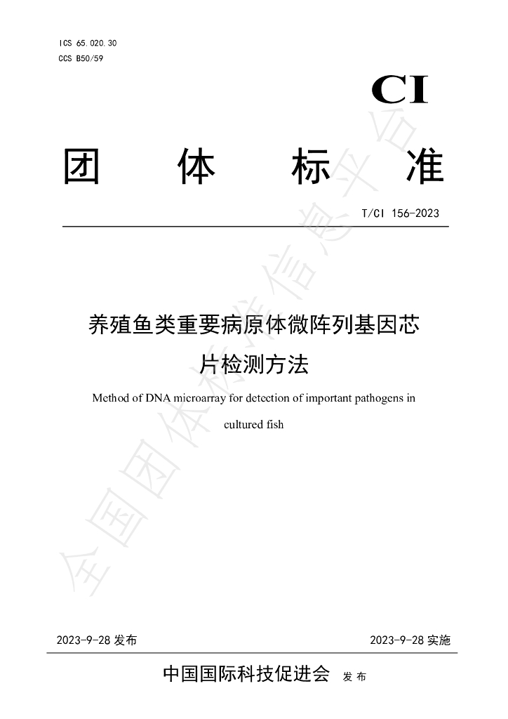T/CI 156-2023 标准预览