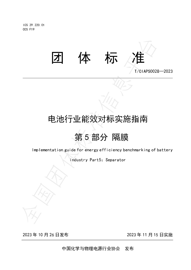 T/CIAPS 0028-2023 标准预览