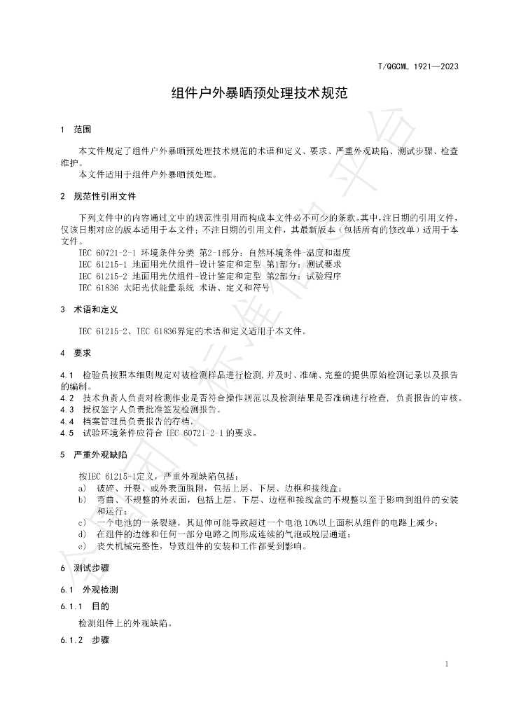 T/QGCML 1921-2023 标准预览