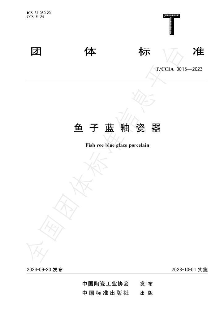 T/CCIA 0015-2023 标准预览