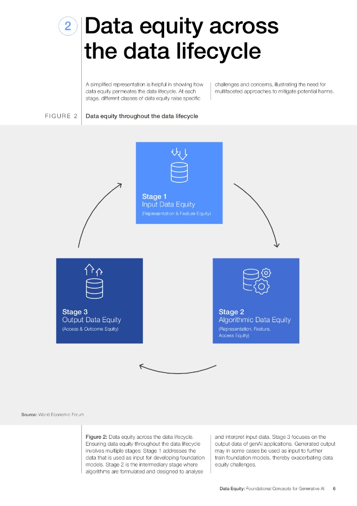 世界经济论坛：数据公平：生成人工智能的基础概念（英文版）_第6页
