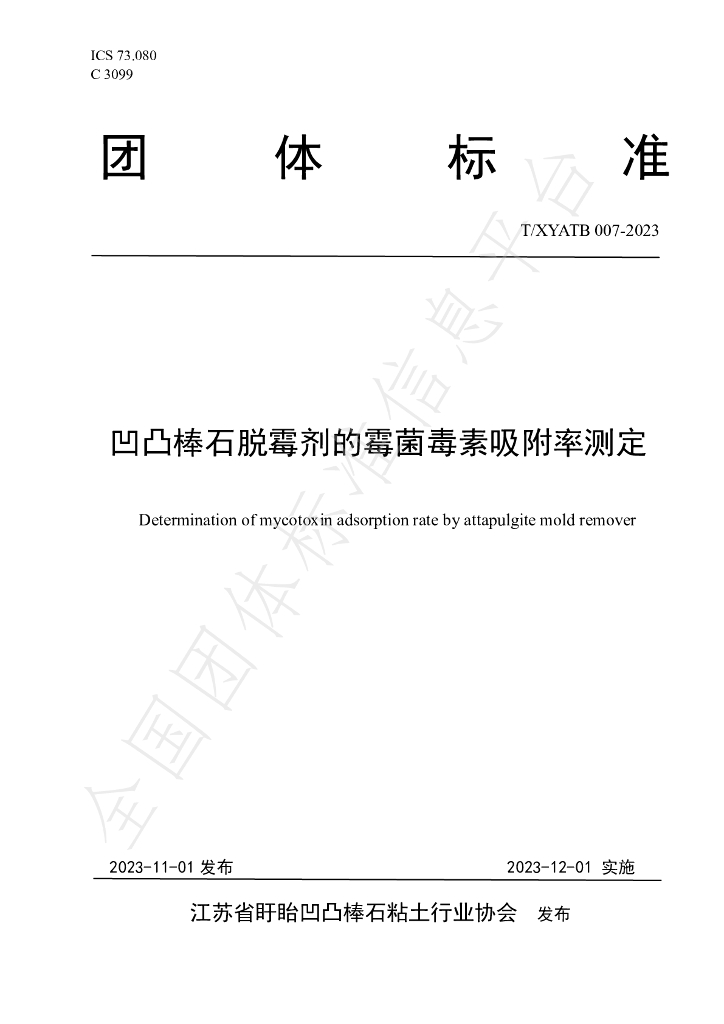 T/XYATB 007-2023 标准预览
