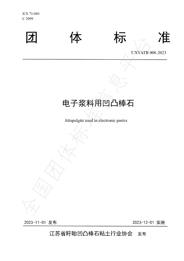 T/XYATB 008-2023 标准预览