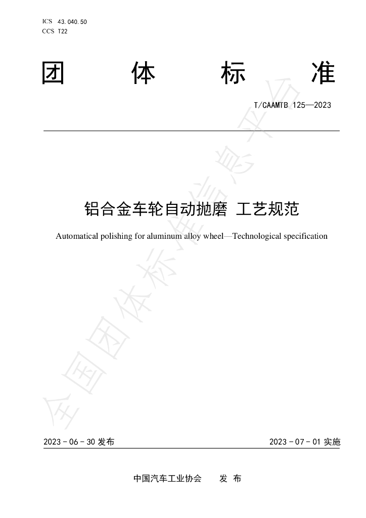 T/CAAMTB 125-2023 标准预览