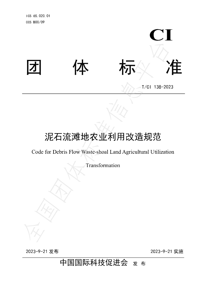 T/CI 138-2023 标准预览