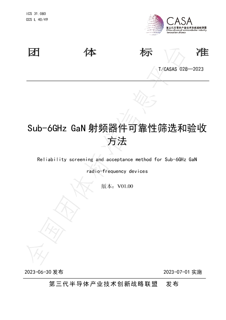 T/CASAS 028-2023 标准预览