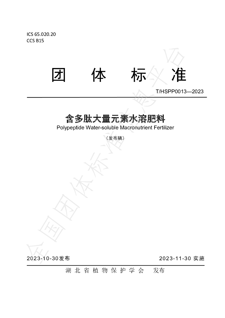 T/HSPP 0013-2023 标准预览