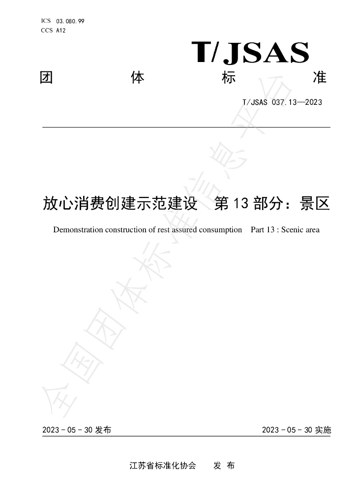 T/JSAS 037.13-2023 标准预览