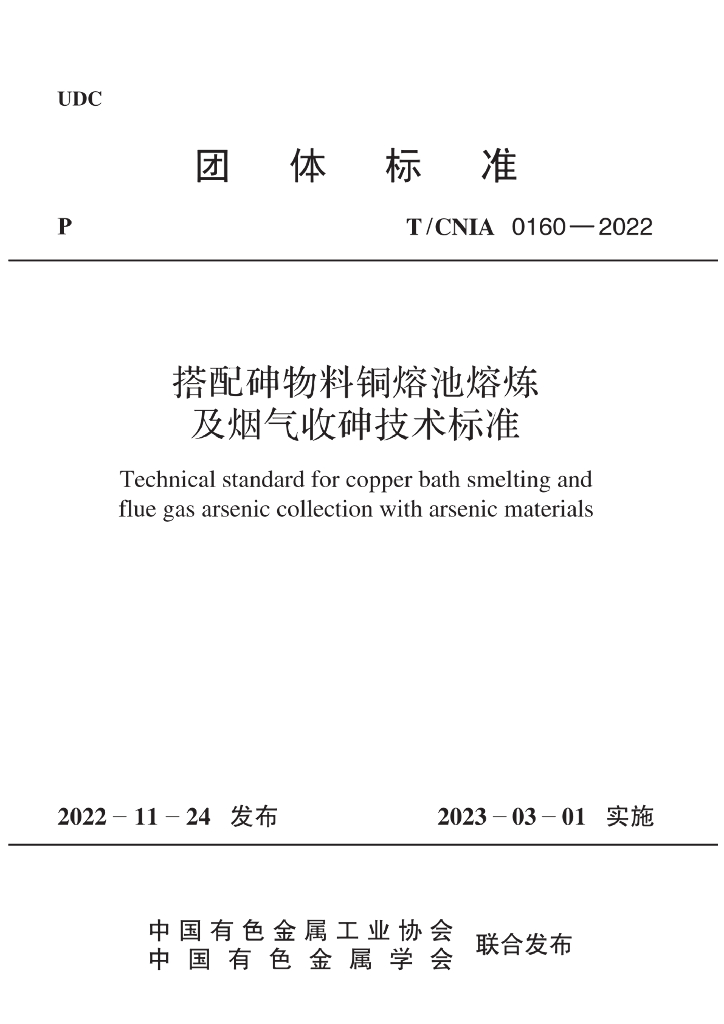 T/CNIA 0160-2022 标准预览