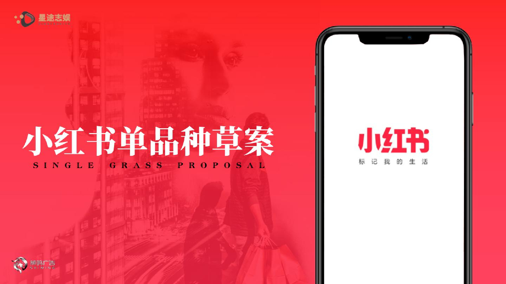 星途志娱：2023小红书单品种草策略方案