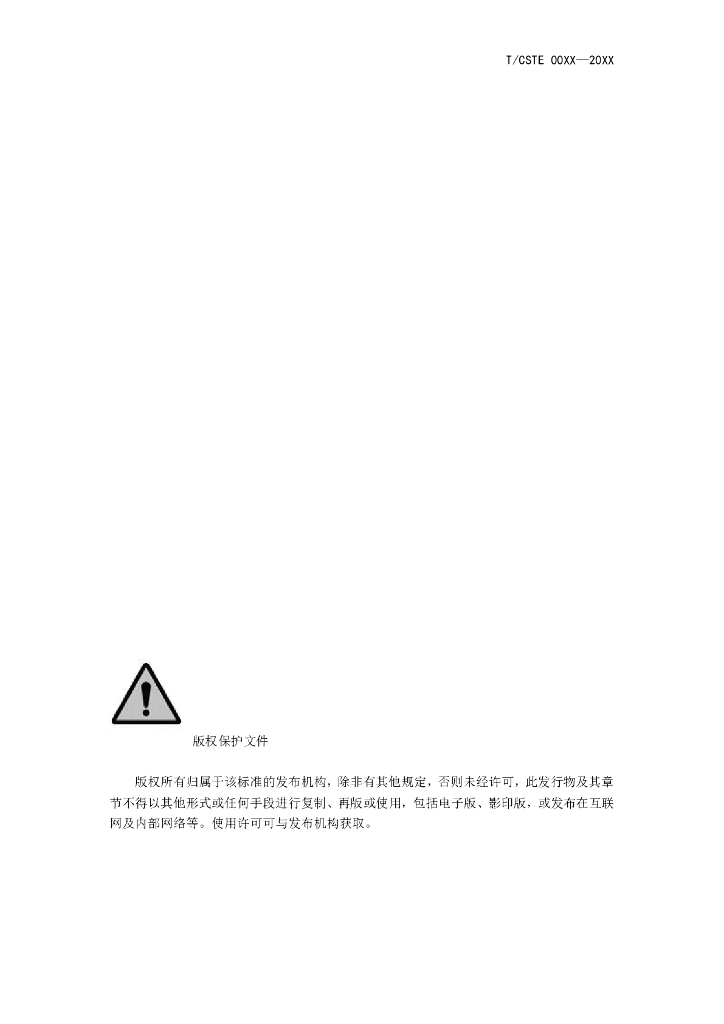 T/CSTE 00XX-20XX 标准预览
