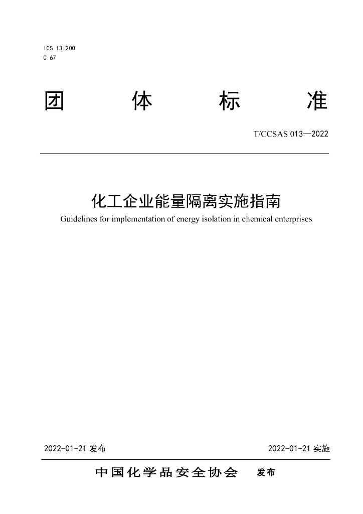 T/CCSAS 013-2022 标准预览