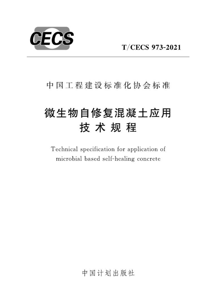 T/CECS 973-2021 标准预览