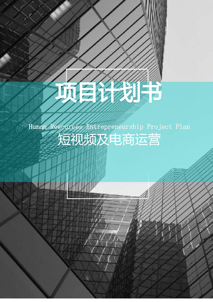 短视频及电商运营项目商业计划书