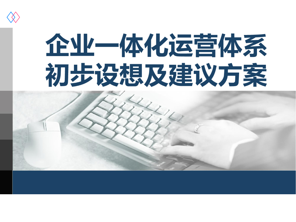 企业一体化运营体系的初步设想及建议方案