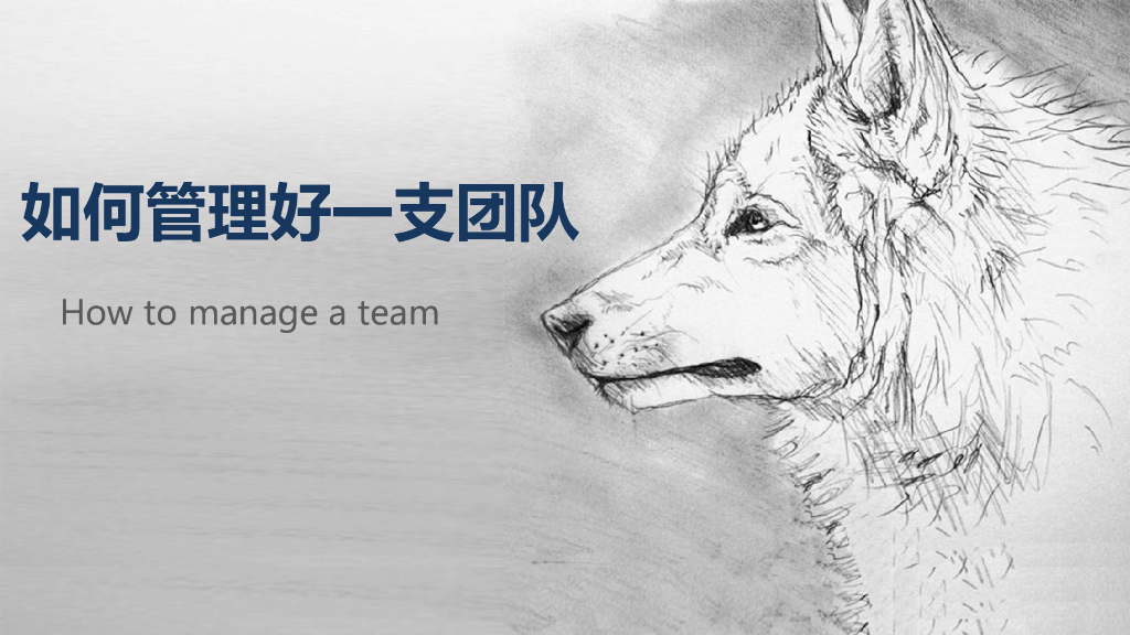【免费培训课件】如何管理好一支团队