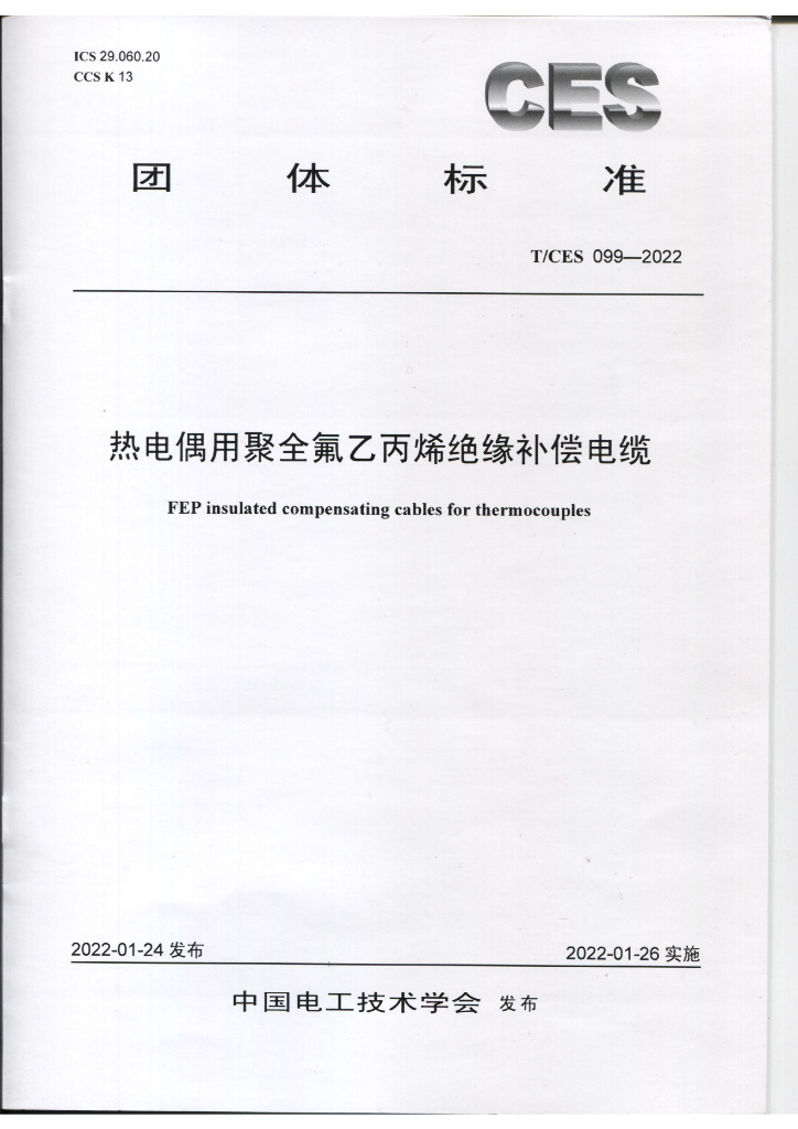 T/CES 099-2022 标准预览