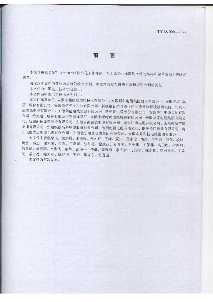 T/CES 099-2022 标准预览