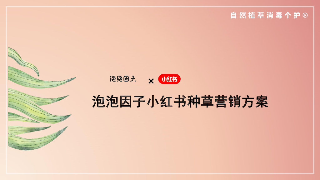 泡泡因子小红书种草营销方案