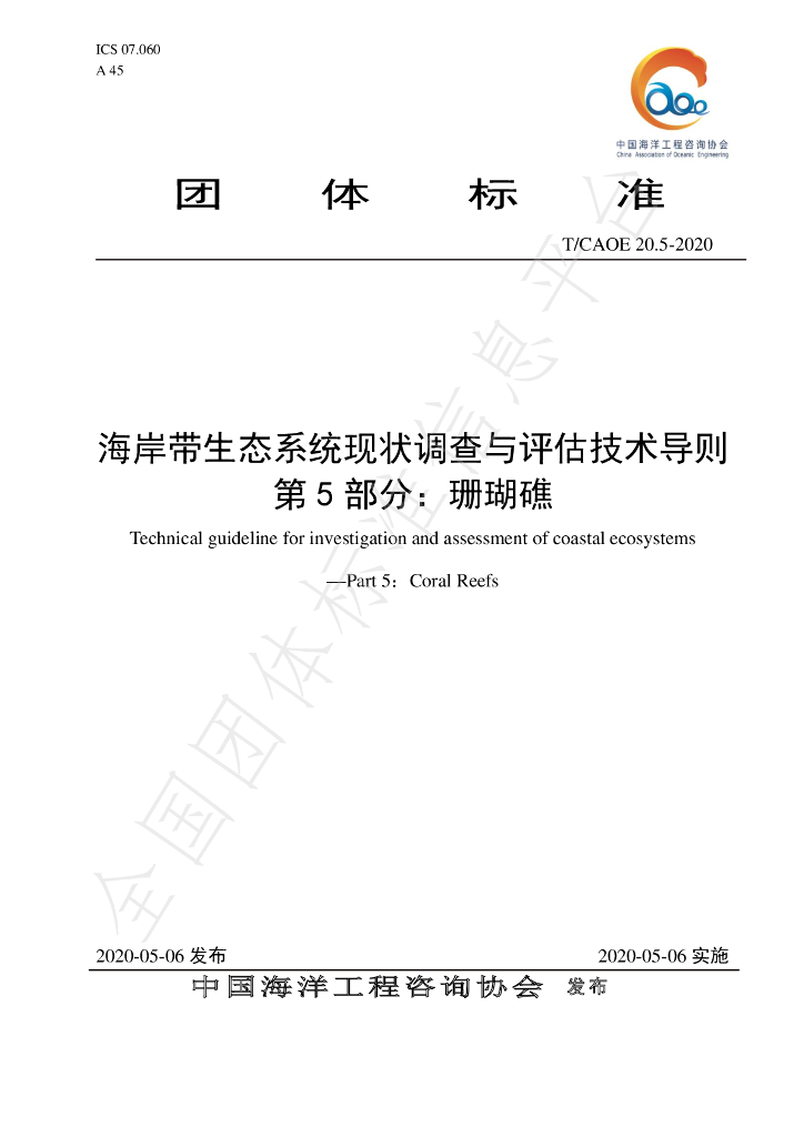 T/CAOE 20.5-2020 标准预览