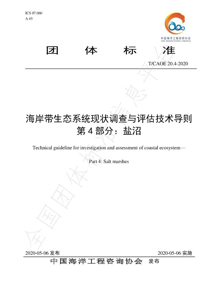 T/CAOE 20.4-2020 标准预览