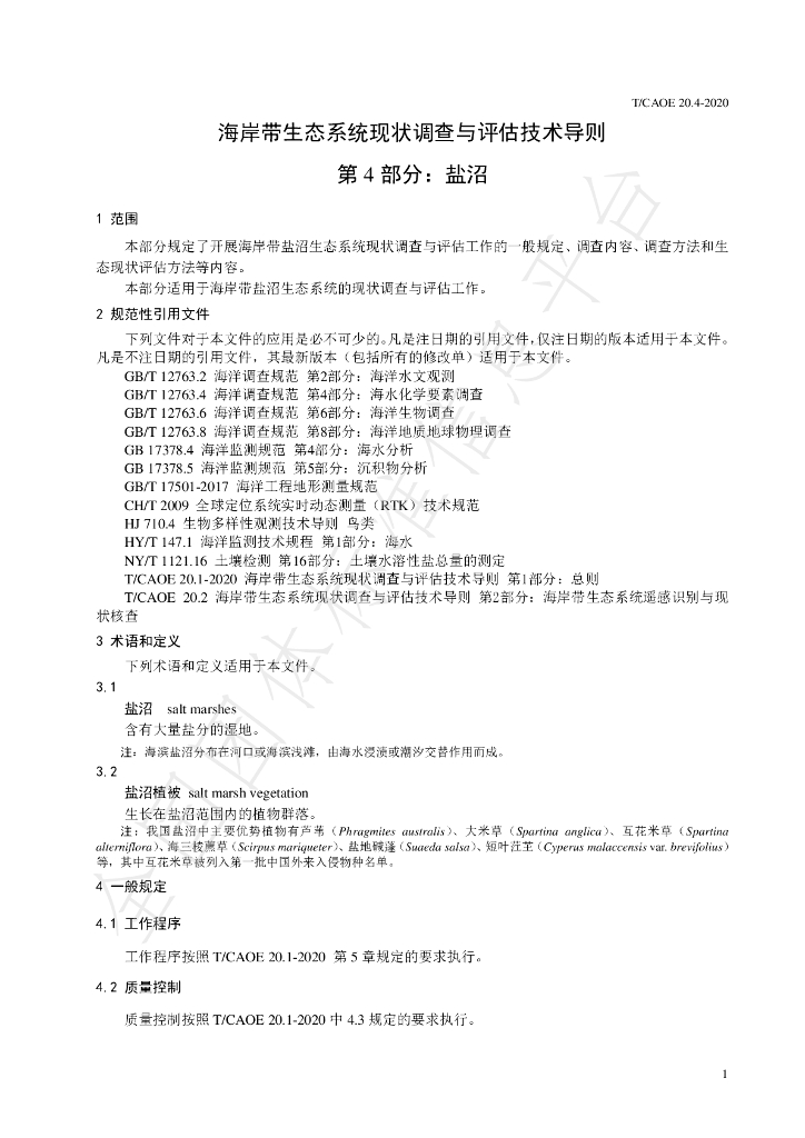 T/CAOE 20.4-2020 标准预览