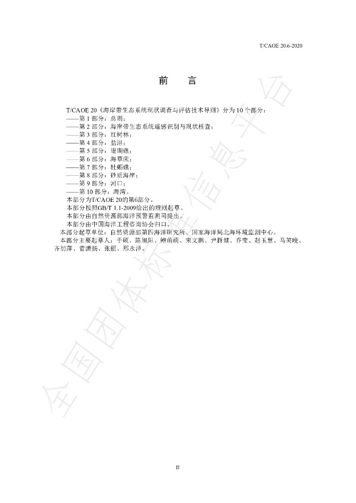 T/CAOE 20.6-2020 标准预览