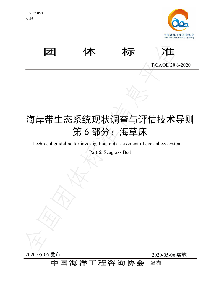 T/CAOE 20.6-2020 标准预览