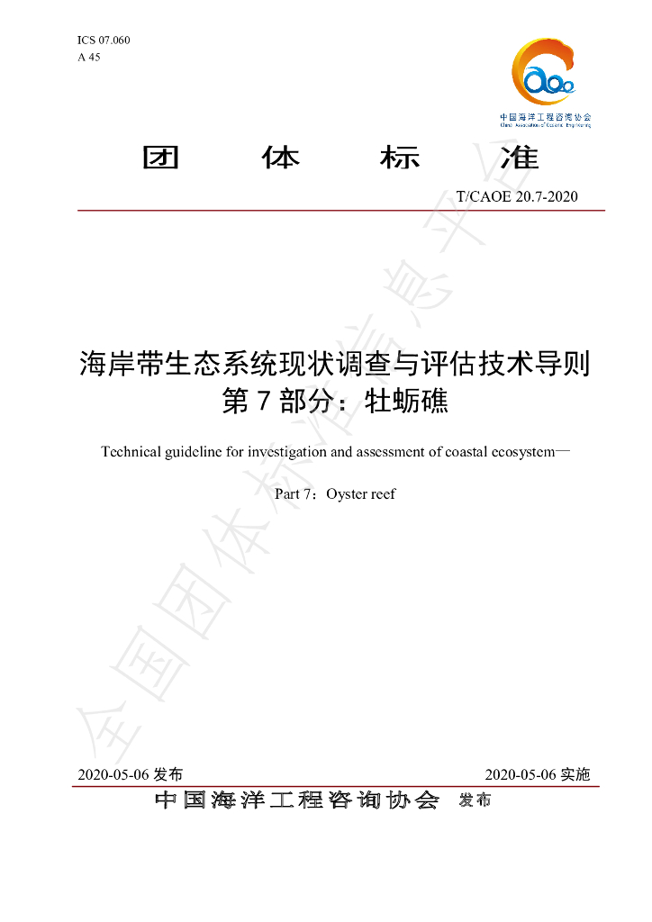 T/CAOE 20.7-2020 标准预览