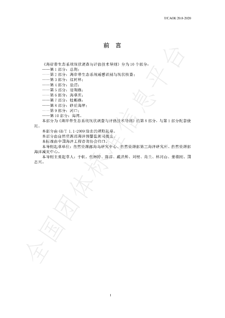 T/CAOE 20.8-2020 标准预览