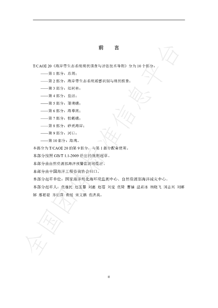 T/CAOE 20.9-2020 标准预览