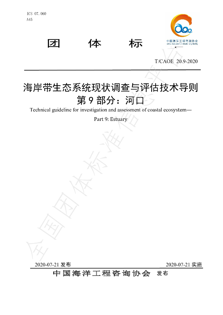 T/CAOE 20.9-2020 标准预览